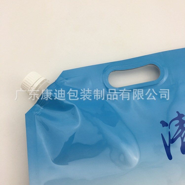 5L Stand-Up Spout Water Pouch with Carry Handle | Custom Liquid Packaging, Factory Direct