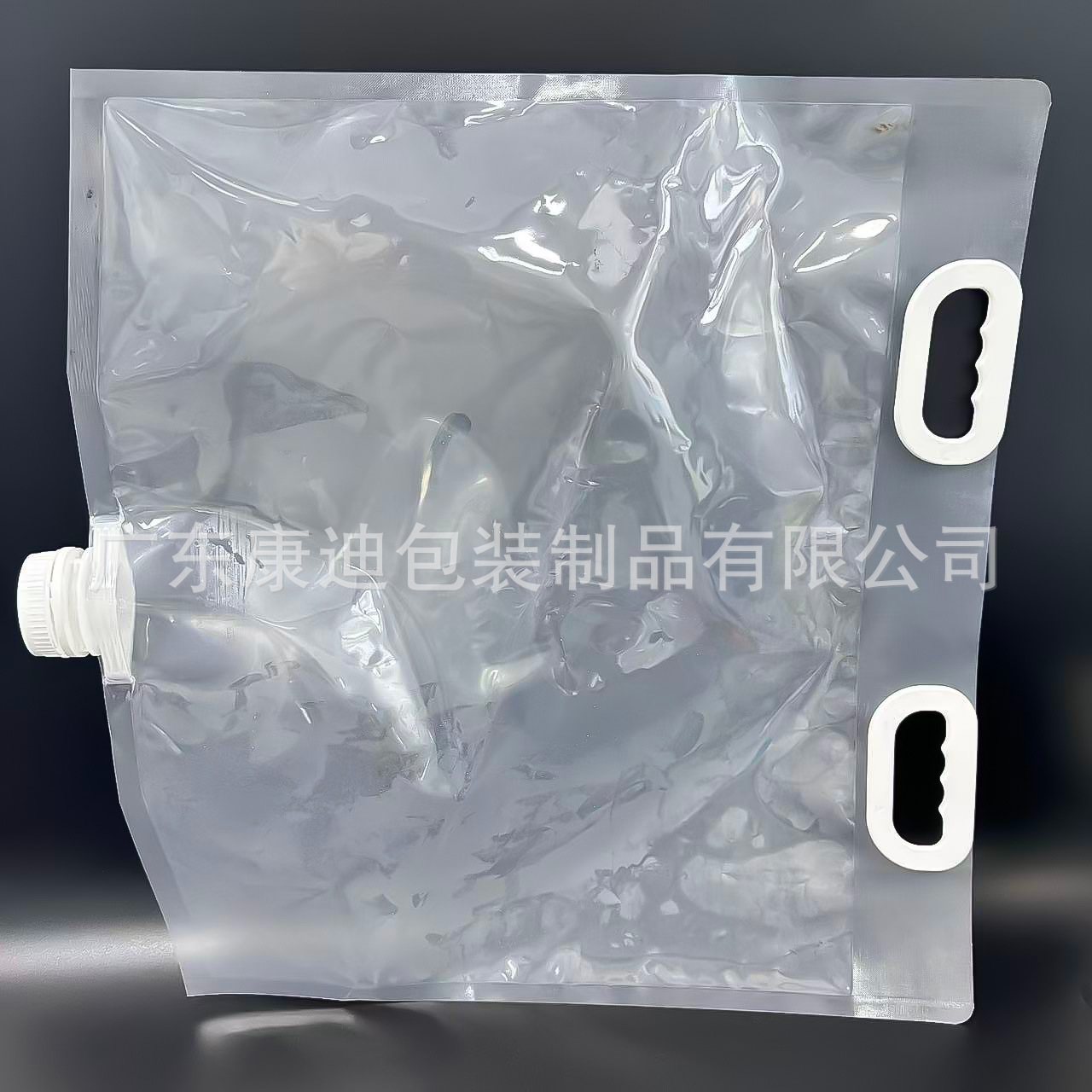 Custom 3 L / 5 L Light-Blocking Drinking-Water Stand-Up Spout Pouch with Carry Handle