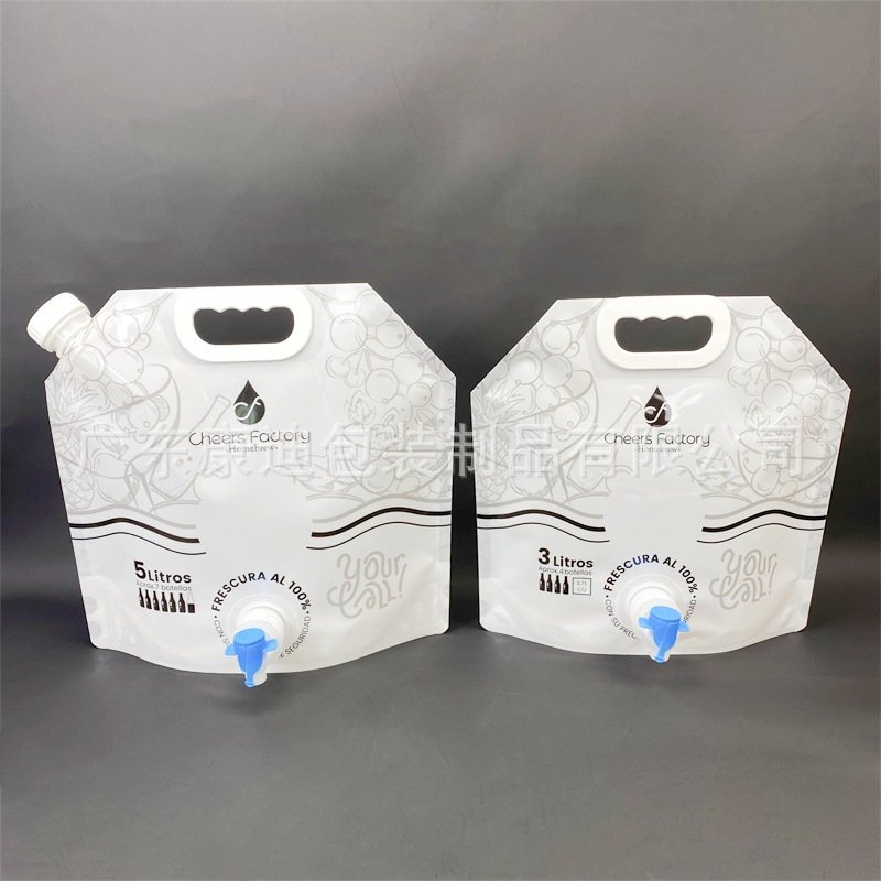 Custom 5 L Spout Stand-Up Pouch | Metallized or Pure Aluminium | 1–8 Colour Print for Drinking Water & Spring Water