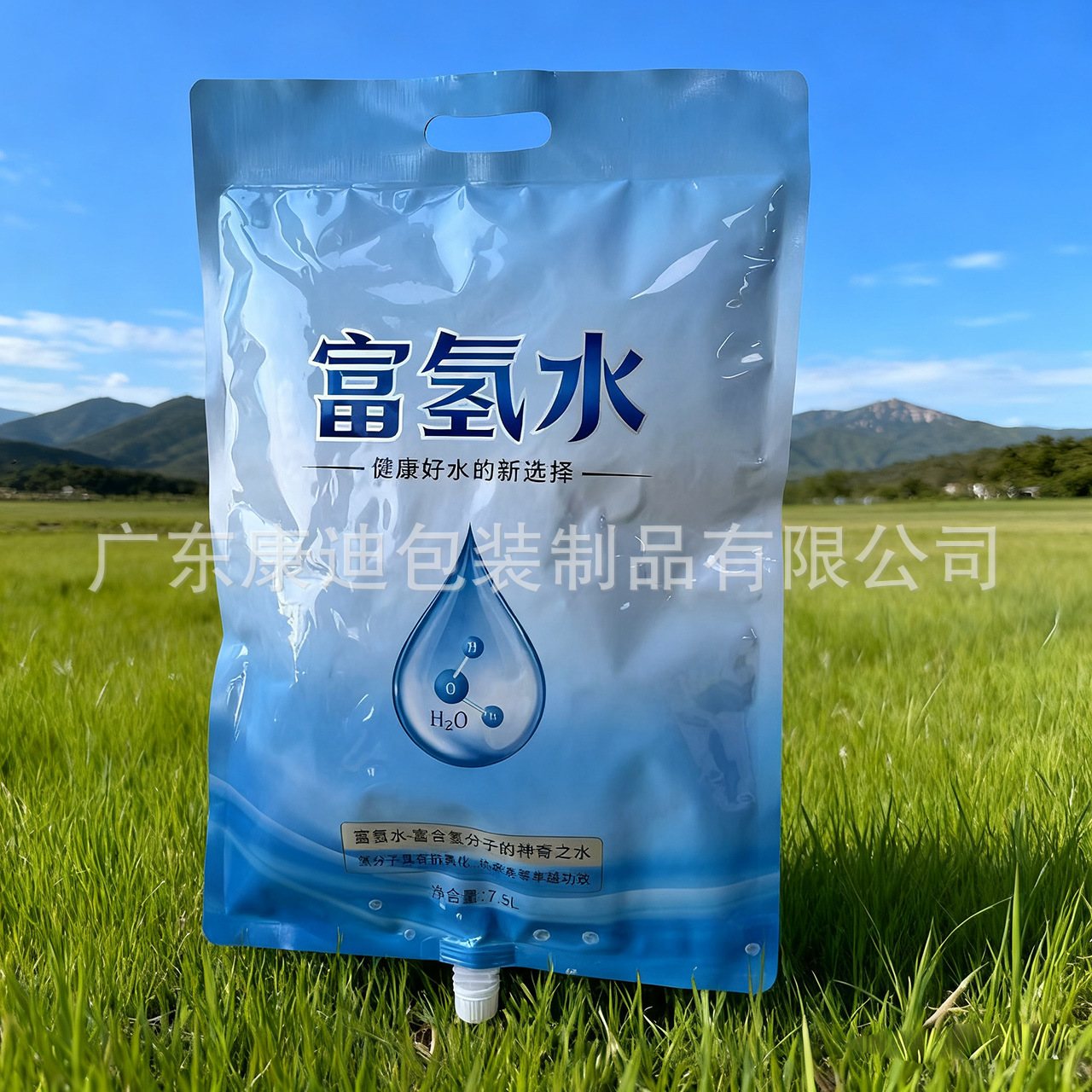 Custom 380 ml Hydrogen-Rich Water Spout Pouch | Antioxidant Pure Aluminium Liquid Packaging