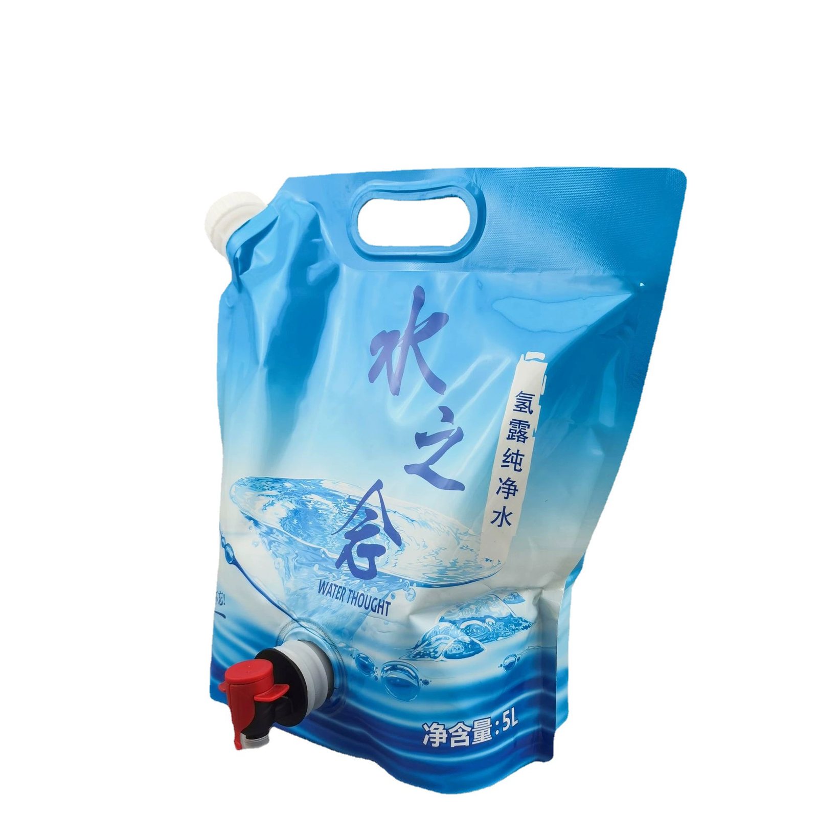 Custom Stand-Up Spout Pouch for Laundry Detergent | 1–1000 ml Foil Laminate Liquid Bag