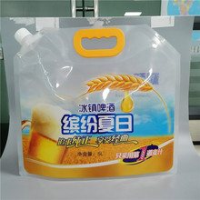 Custom Stand-Up Spout Pouch for Laundry Detergent | 1–1000 ml Foil Laminate Liquid Bag