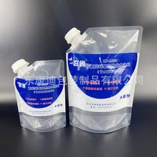 Decorative Dummy-Spout Stand-Up Bags for Laundry Detergent | Custom Laminated 1–1000 ml