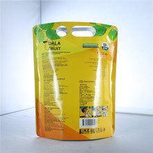 1–1000 ml Laundry Detergent & Dish Soap Stand-Up Spout Pouch | Factory Colour-Printed Liquid Bag