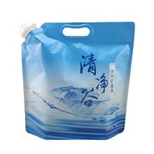 Custom 2 kg Drop-Resistant Laundry Detergent Spout Pouch | Foil Laminated Liquid Packaging