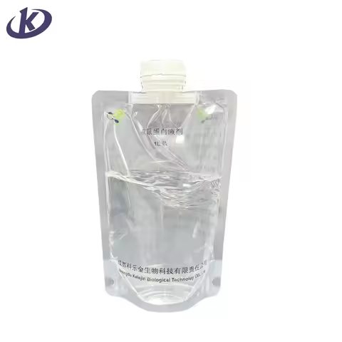 Beverage Packaging: 100ml–5L Food-Grade Stand-Up Spouted Liquid Pouches with Custom Gravure Printing for Juice & Mineral Water