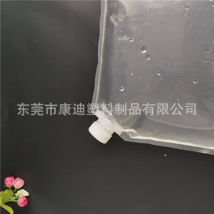 Custom Liquid Pouch Supplier: 100ml–5L Handled Spout Bags in PET/PE or NY/PE for Pet Sanitizer & Laundry Refills