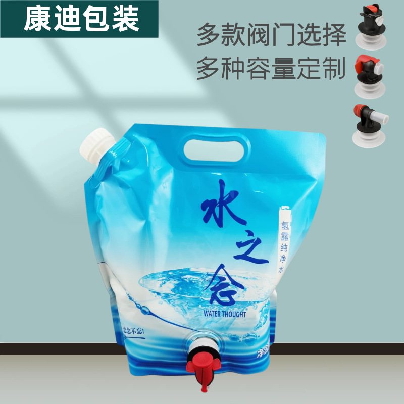 Bag-in-Box (BIB) Packaging: 6L Hand-Carry Valve Pouch with Eco-Laminated Film, 1–8 Color Custom Printing for Household Cleaners
