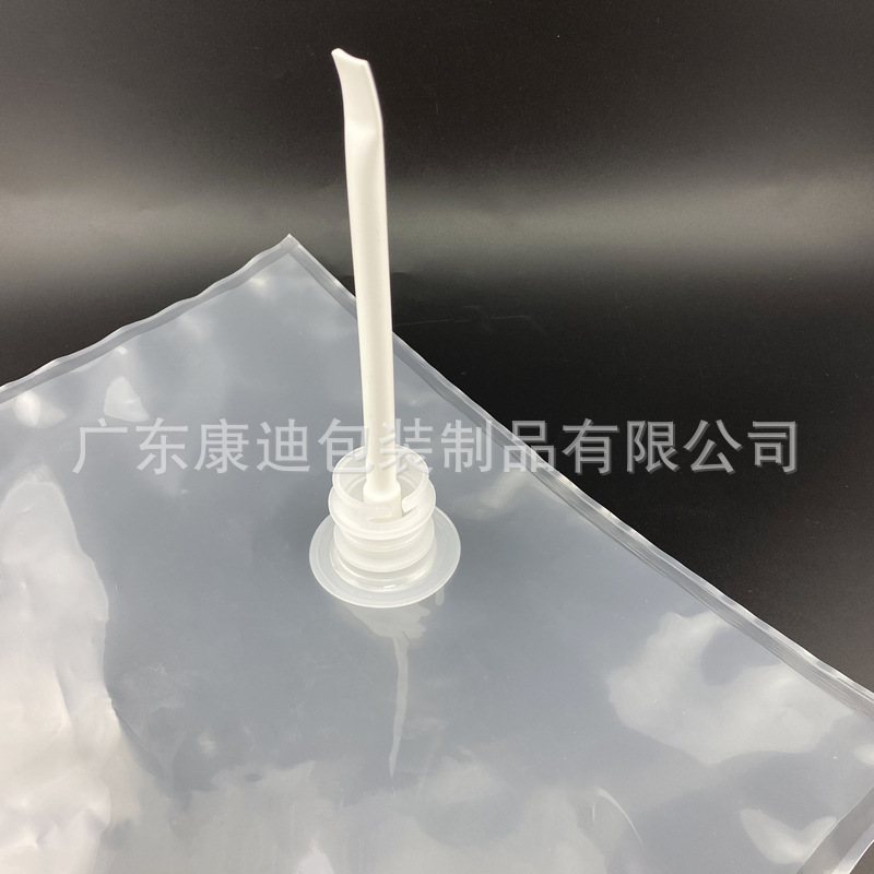 Bag-in-Box (BIB) Packaging: 6L Hand-Carry Valve Pouch with Eco-Laminated Film, 1–8 Color Custom Printing for Household Cleaners