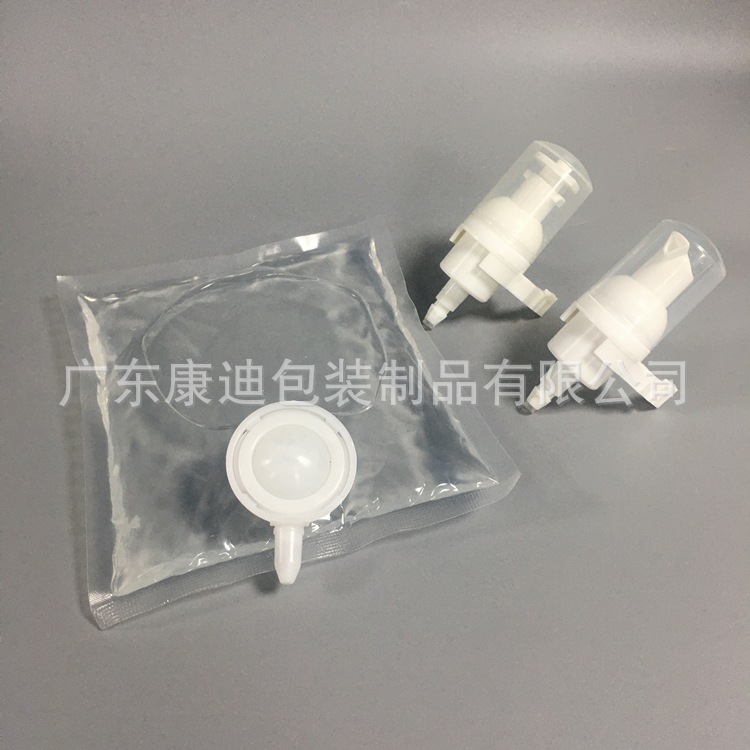 Custom 1000ml Foam Pump Detergent Spout Pouch for Hand Wash Liquid